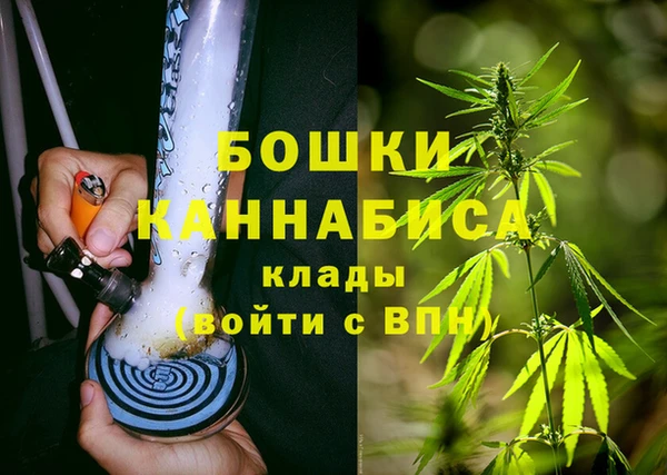 СК Михайловск