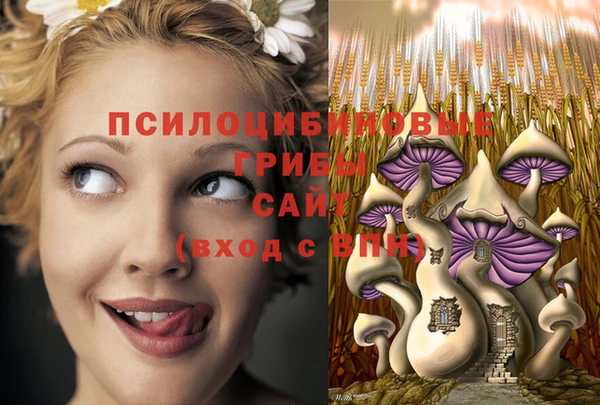 кокаин Михайлов