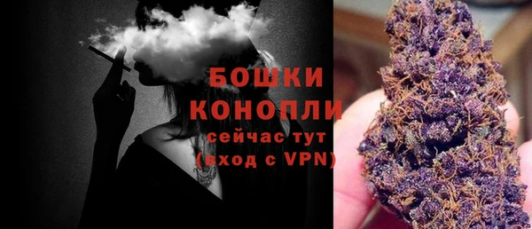 СК Михайловск