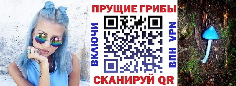 сайты даркнета клад  Лукоянов  Псилоцибиновые грибы прущие грибы  купить  